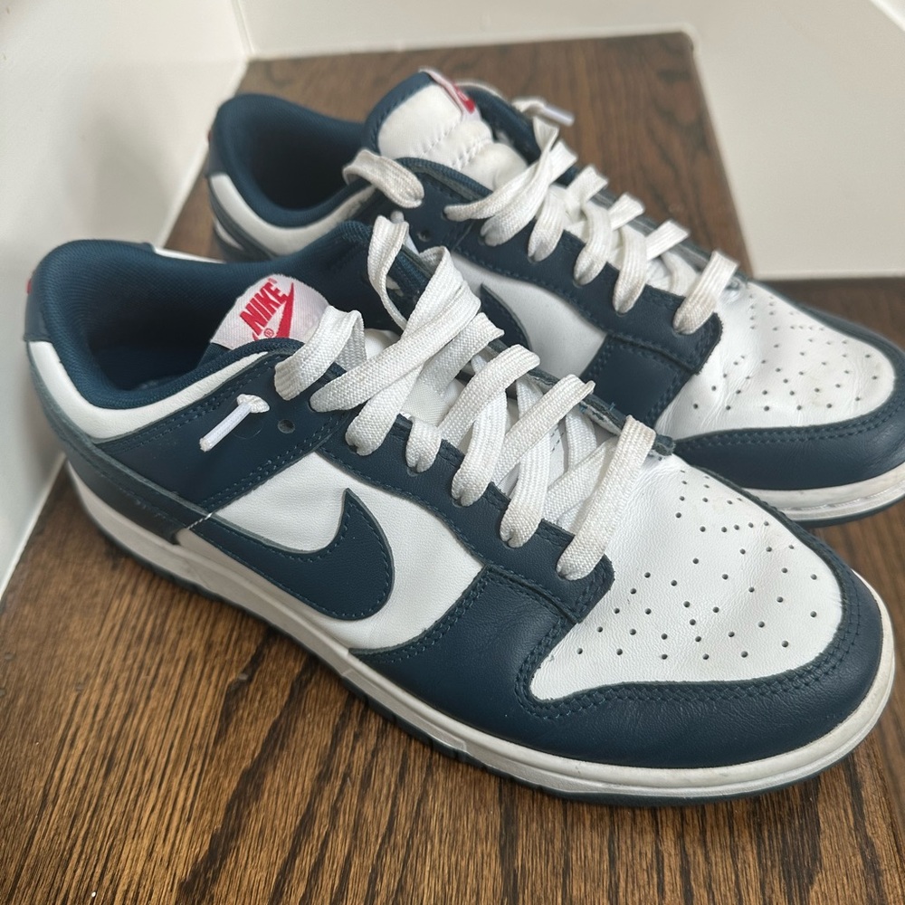 Nike White and Blue Dunk Low Sneakers